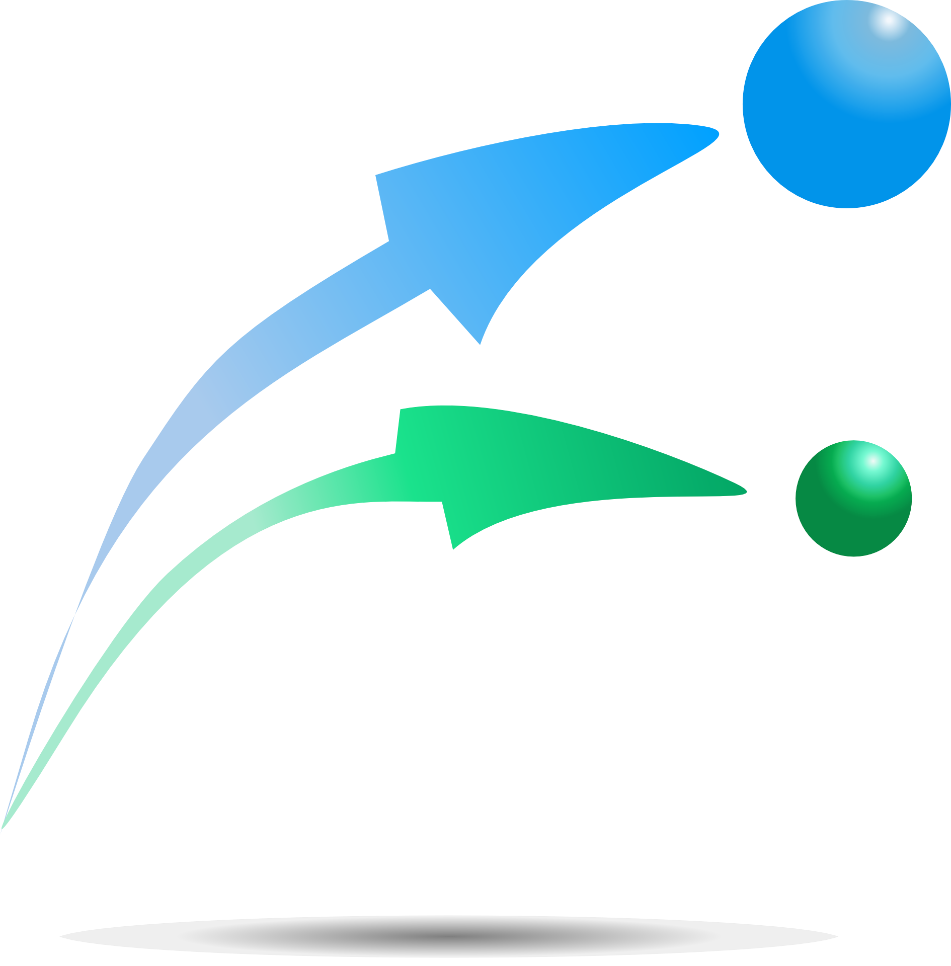Aim of the company